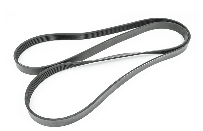 Serpentine Belt-W: 13/16