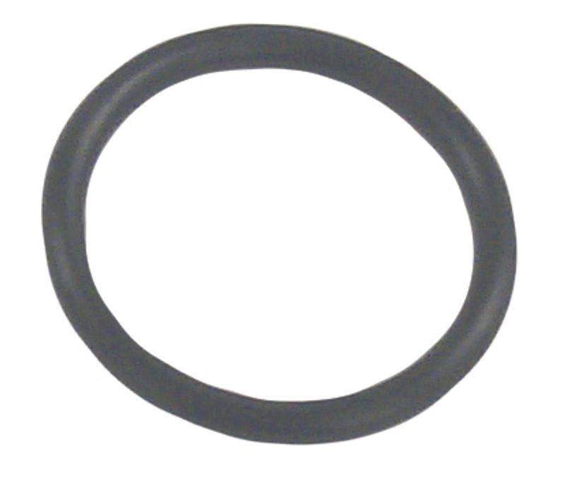 O-Ring (OMC/Cobra), Erst: 302493