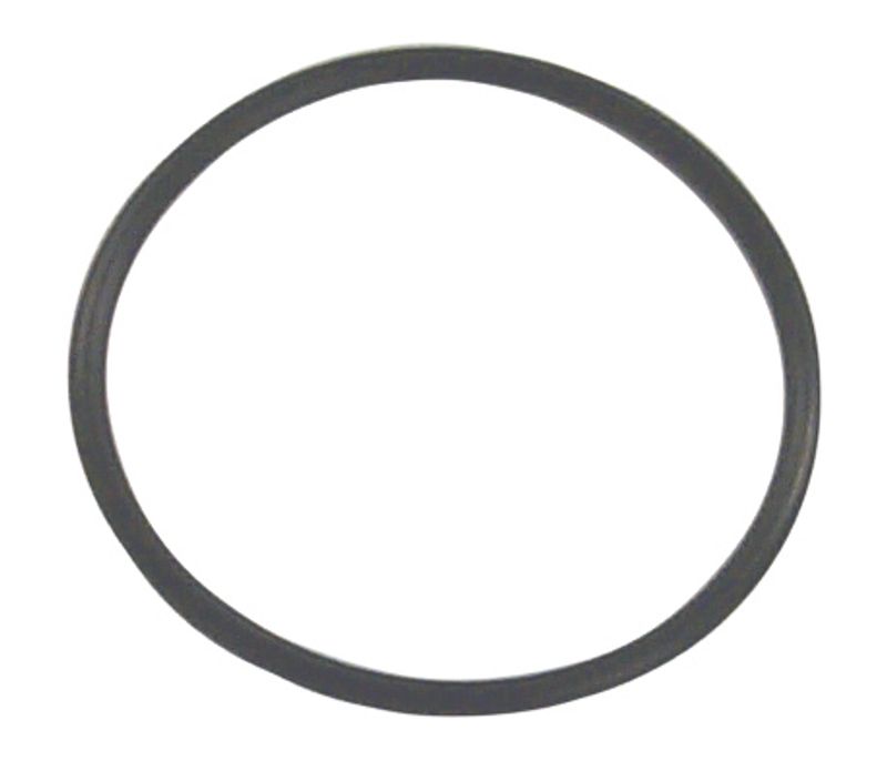 O-Ring (OMC/Cobra), Erst: 313754